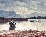 215 Low Tide
