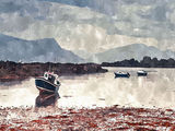 Low Tide