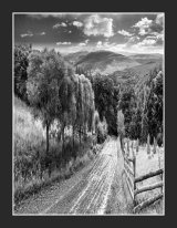 A98 - Downhill into the Woods