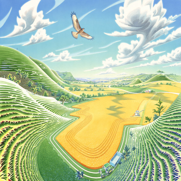 Harvest Home