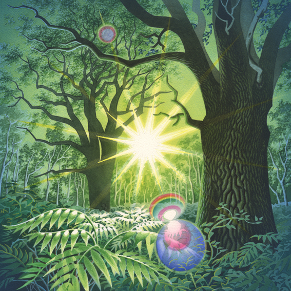 Earth lights