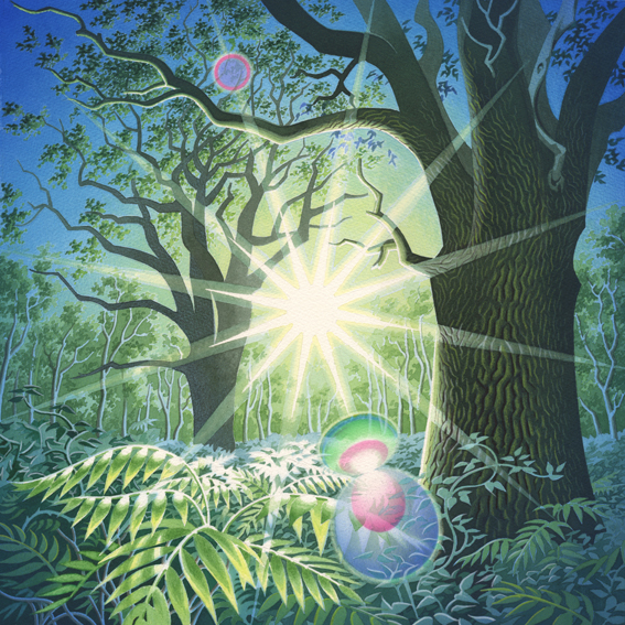 Earth lights 2