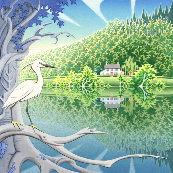 Little Egret