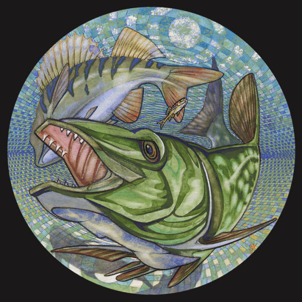 Perch and Pike