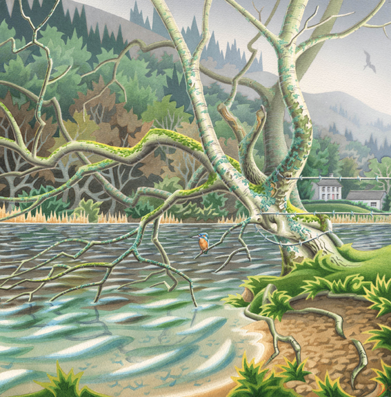 River Birch