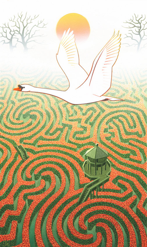 Swan