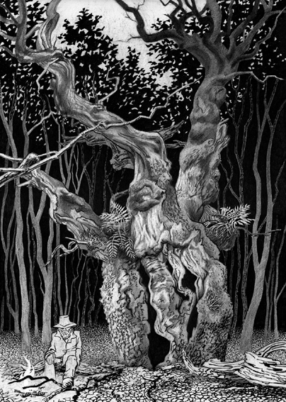 The woodsman
