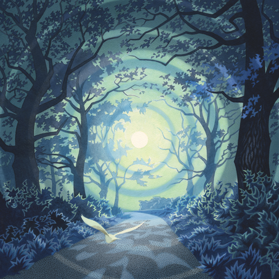 Oakfrith night