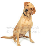 003 160925-Digby