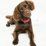 012 160612-Billy