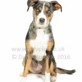 014 160821-Misty & Skye
