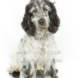 015 190804-Skye
