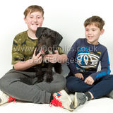 016 190512-Durweston-Merlin
