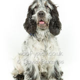 016 190804-Skye