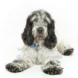 021 190804-Skye