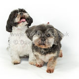 022 190512-Durweston-Thomas & Bertrum-Edit