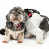 027 190512-Durweston-Thomas & Bertrum