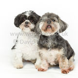 029 190512-Durweston-Thomas & Bertrum