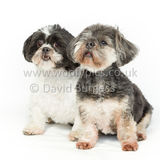 030 190512-Durweston-Thomas & Bertrum