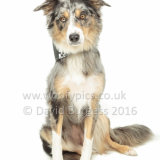 034 160821-Misty & Skye