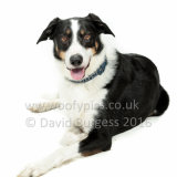 034 160911-Buster