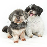 034 190512-Durweston-Thomas & Bertrum