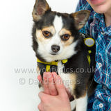038 190512-Durweston-Bailey