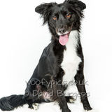 038 190817-Charlie