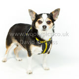 039 190512-Durweston-Bailey