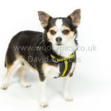 040 190512-Durweston-Bailey