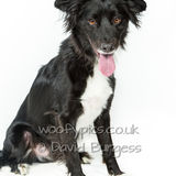 041 190817-Charlie