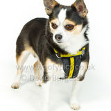 042 190512-Durweston-Bailey