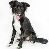 042 190817-Charlie