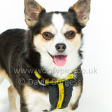 043 190512-Durweston-Bailey