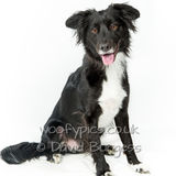 043 190817-Charlie