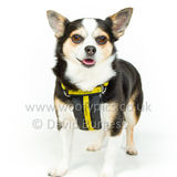 044 190512-Durweston-Bailey