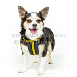 045 190512-Durweston-Bailey