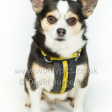 047 190512-Durweston-Bailey