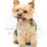 047 190707-Lolly & Chester