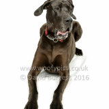 048 160813-Gracie & Willow