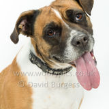 049 190518-Beau