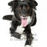 049 190817-Charlie