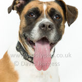 050 190518-Beau