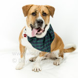 051 160612-Bruce