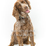 067 190721-Harvey