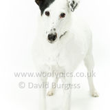 068 190526-Dotty