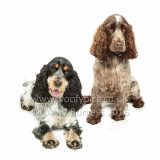 069 160813-Belle & Ruby