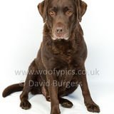 072 190512-Durweston-Toby