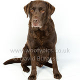 073 190512-Durweston-Toby