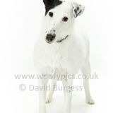 073 190526-Dotty
